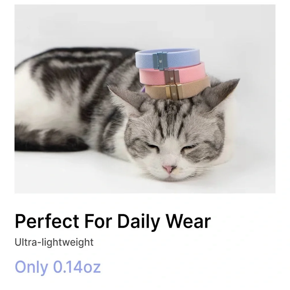 Purple Cat Safety Collar (A151)